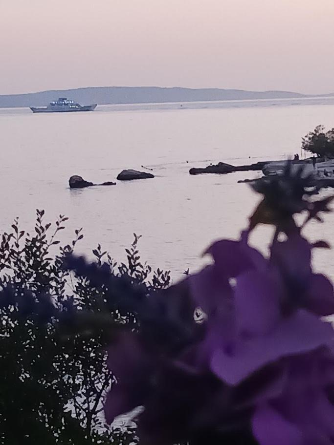 Magical View Split